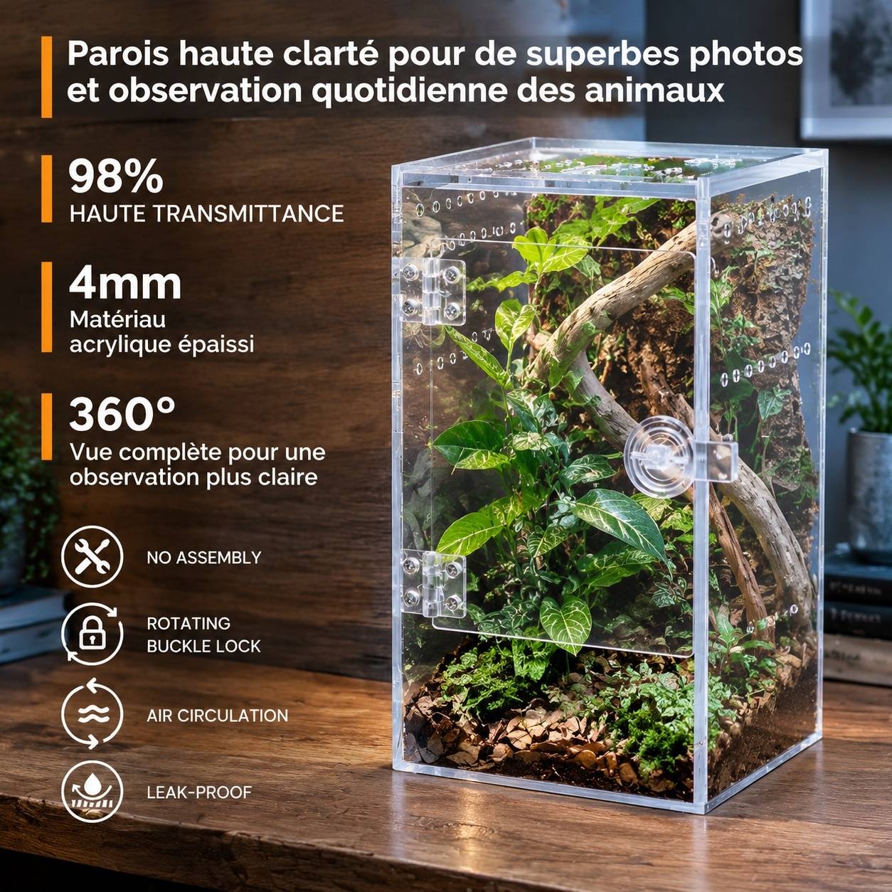 Boîte d'élevage d'insectes terrarium acrylique épais 360° pour reptiles arthropodes - Image 3
