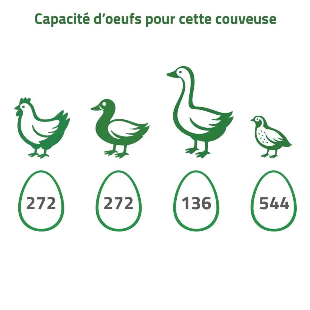 Couveuse Automatique PRO Couvitech® 272 œufs Couvitech - Image 10