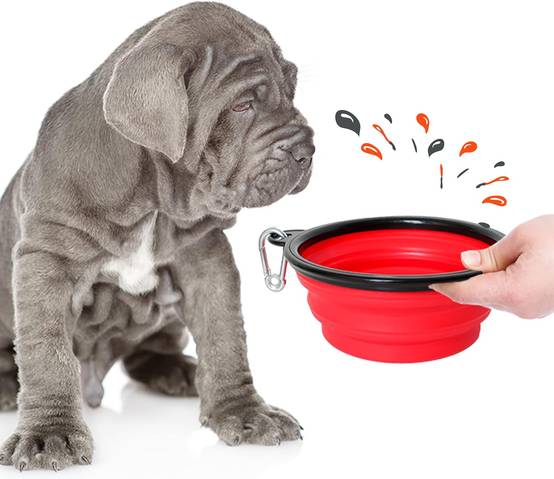Petsation - Gamelle de voyage pliable en silicone - eau et nourriture pour chien et chat (rouge, 1000 + 350ml) - Petsation - Image 2