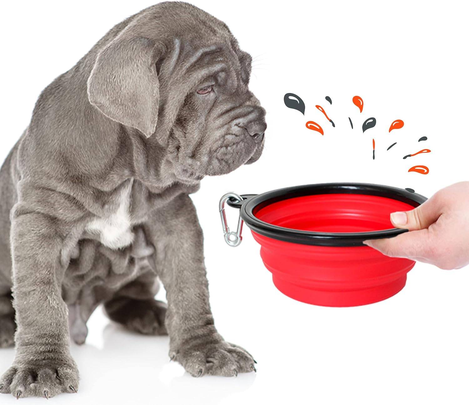 Petsation - Gamelle de voyage pliable en silicone - eau et nourriture pour chien et chat (rouge, 1000 + 350ml) - Petsation - Image 2