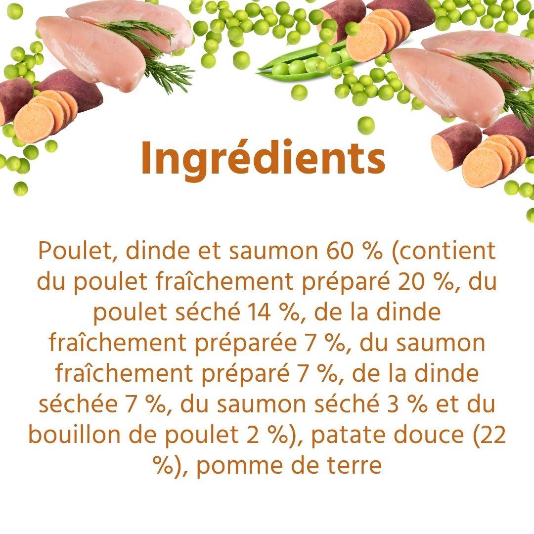 Wildfang - Wildfang Croquettes Junior au poulet pour chiots - sans céréales - 2 x 2 kg - Image 4