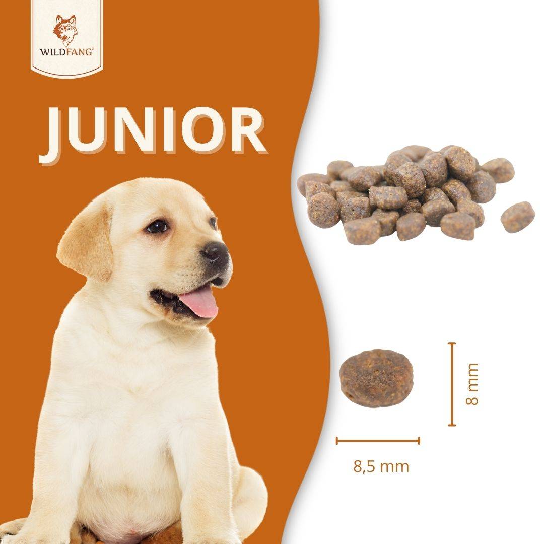 Wildfang - Wildfang Croquettes Junior au poulet pour chiots - sans céréales - 2 x 2 kg - Image 5