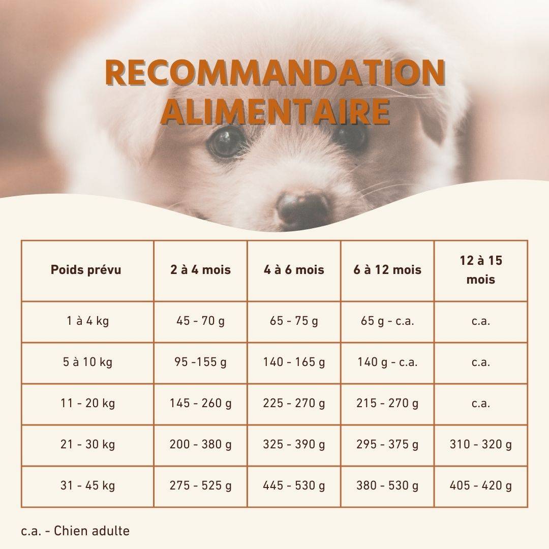 Wildfang - Wildfang Croquettes Junior au poulet pour chiots - sans céréales - 2 x 2 kg - Image 7
