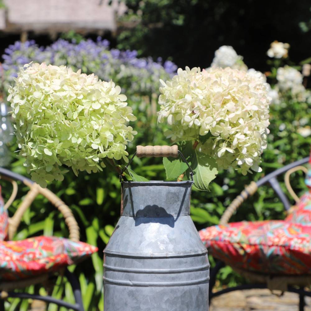 Pot à lait ancien décoratif jardin extérieur zinc gris 24 x 14 cm Chemin de campagne - Image 5