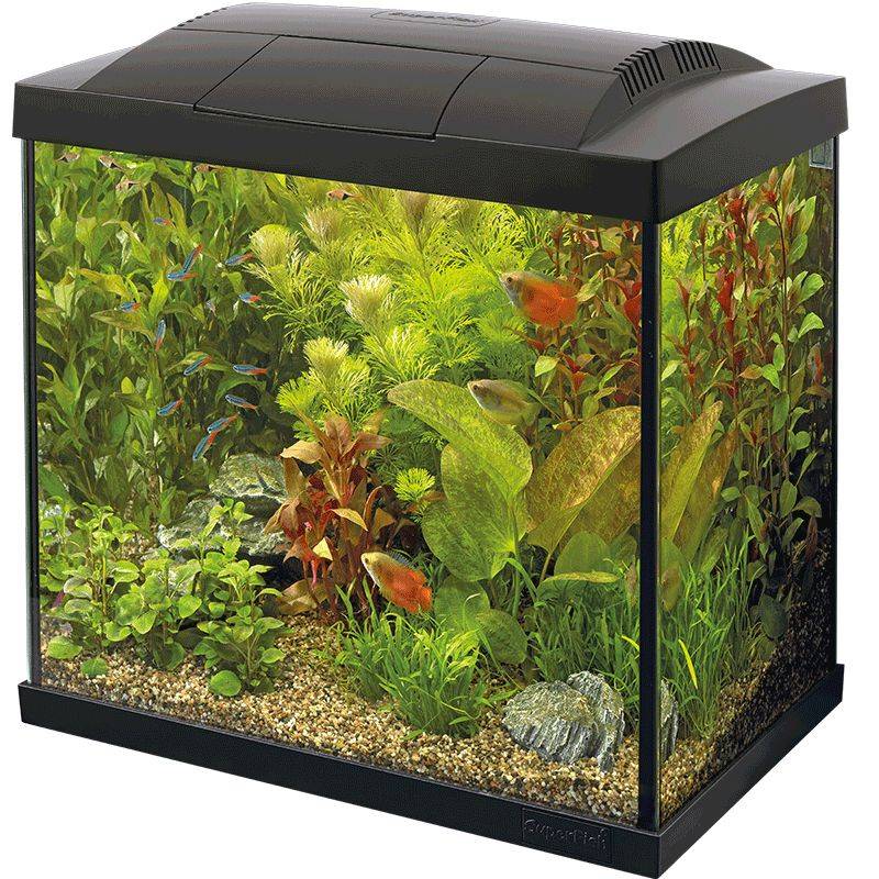 Superfish - Aquarium complet kit démarrage 39 L éclairage LED - SUPERFISH