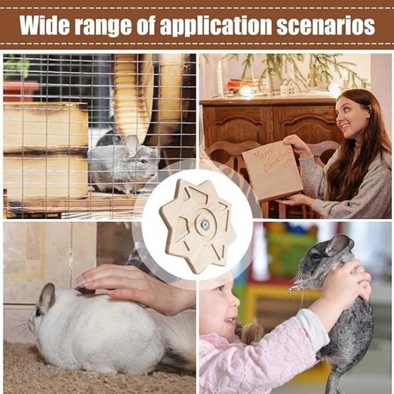 Jouet Tournant pour Chinchillas et Rongeurs DtopbuyAge - Image 3