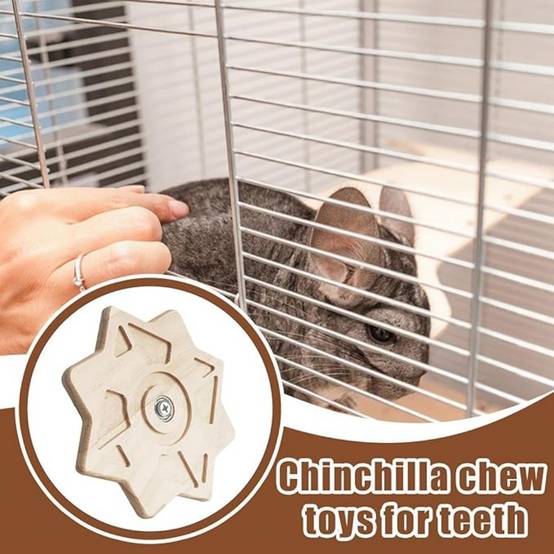 Jouet Tournant pour Chinchillas et Rongeurs DtopbuyAge - Image 4
