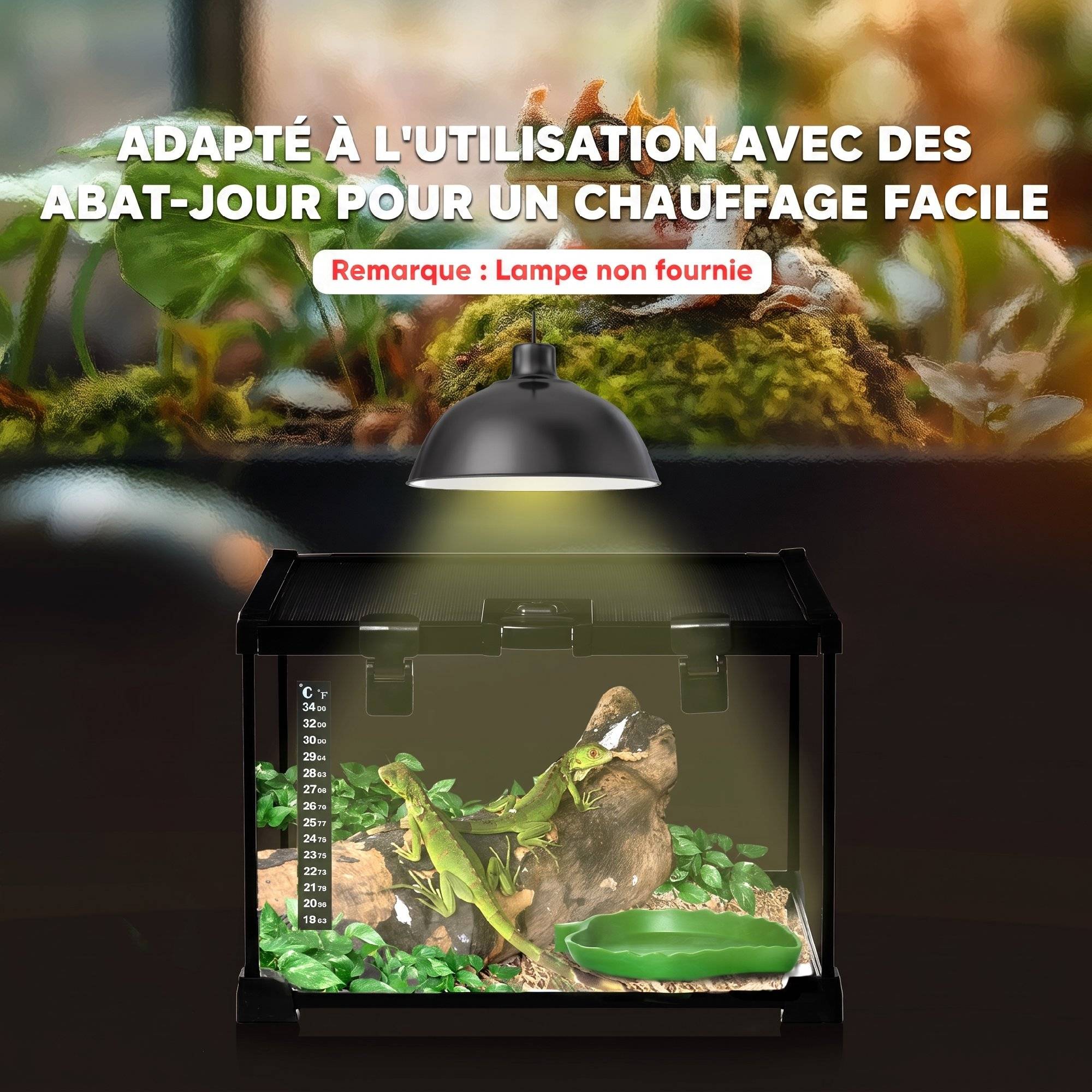 ComfortXL - Terrarium pour reptiles en verre trempé 30 x 30 x 20 cm noir avec couvercle grillagé coulissant et trappe de nourrissage - Image 8