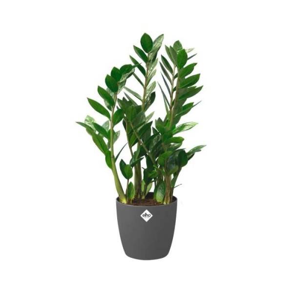 Elho - Elho Brussels Pot De Fleurs Rond Roues 40 - Noir - ø 39 X H 37 Cm - Intérieur - 100% Recyclé - Image 3
