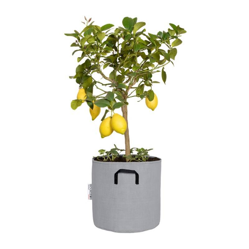 Bourgeon - Sac à plantation respirant 30 cm Gris - Bourgeon - Image 1