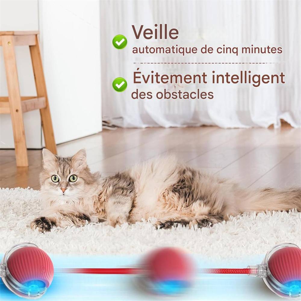 Jeu interactif de balle pour chat DtopbuyAge - Image 5