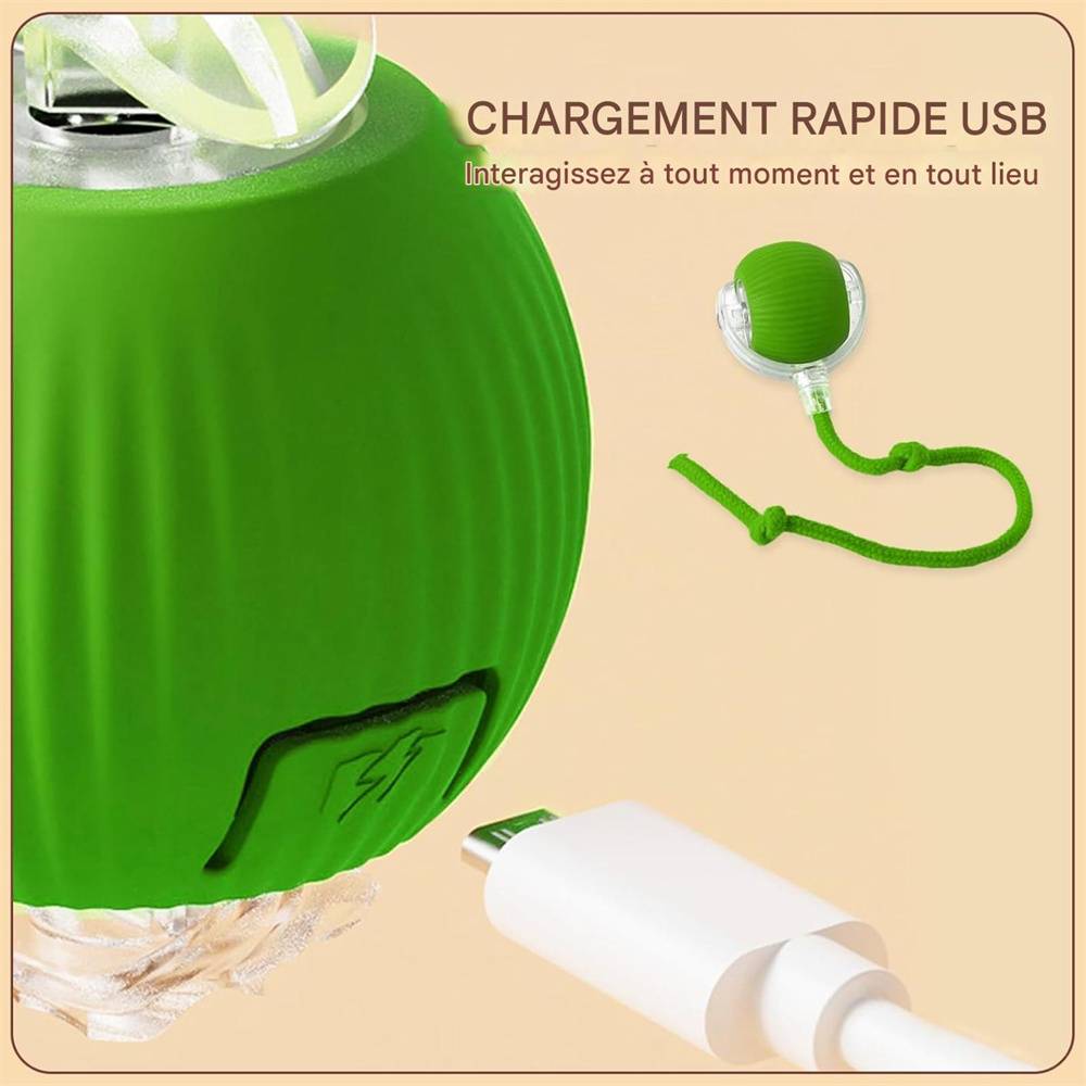 Jeu interactif de balle pour chat DtopbuyAge - Image 4
