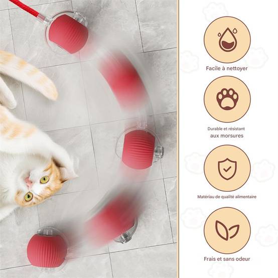 Jeu interactif de balle pour chat DtopbuyAge - Image 3