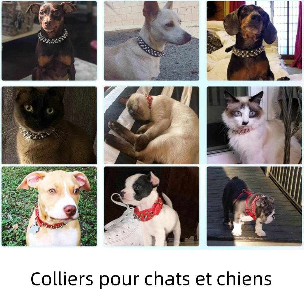 Collier à pointes pour chien et chat xl - IntiMeg - Image 3