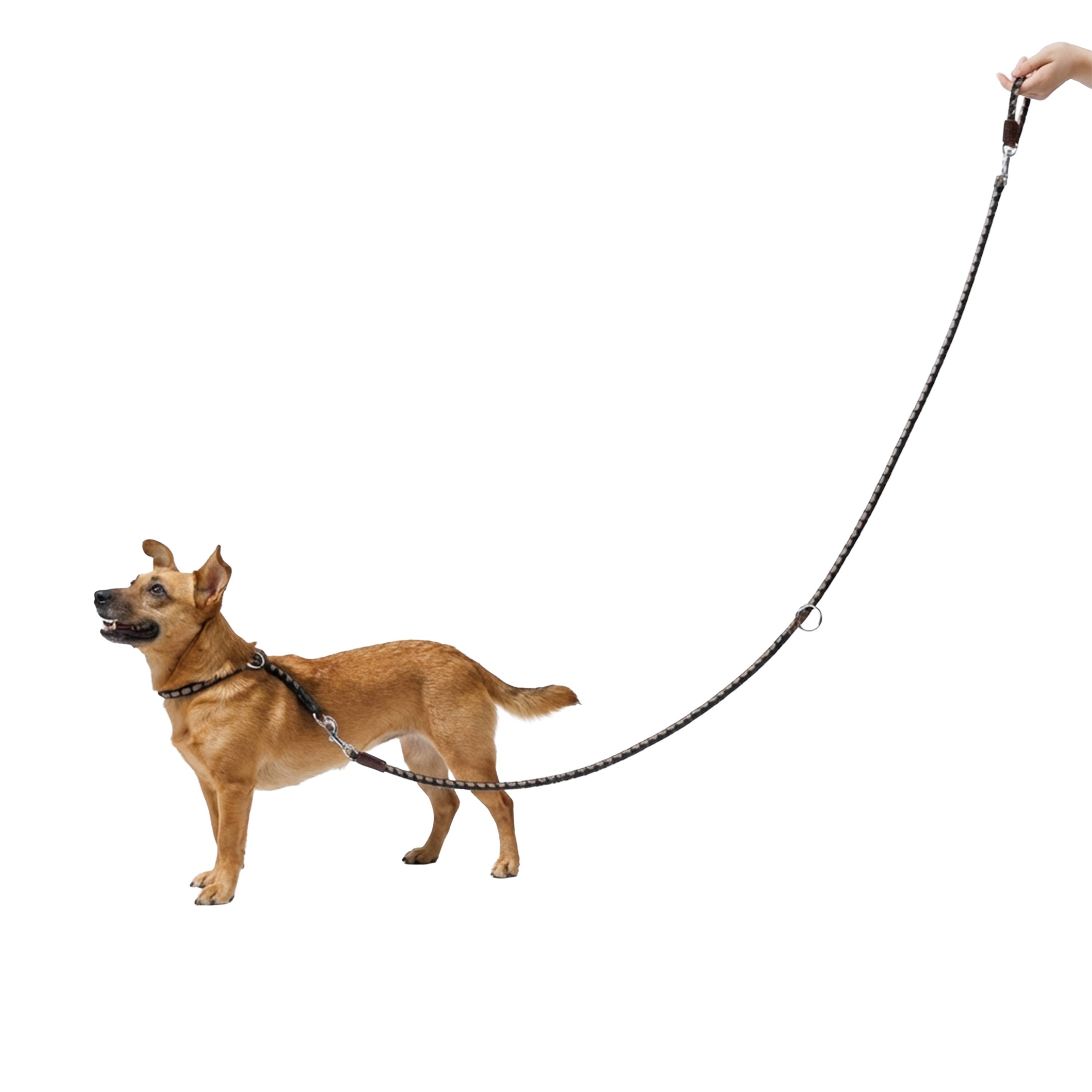 Ferplast - Laisse de Dressage pour Chiens en Nylon TWIST MATIC GA12/200, Mousqueton Magnétique Automatique - Image 4
