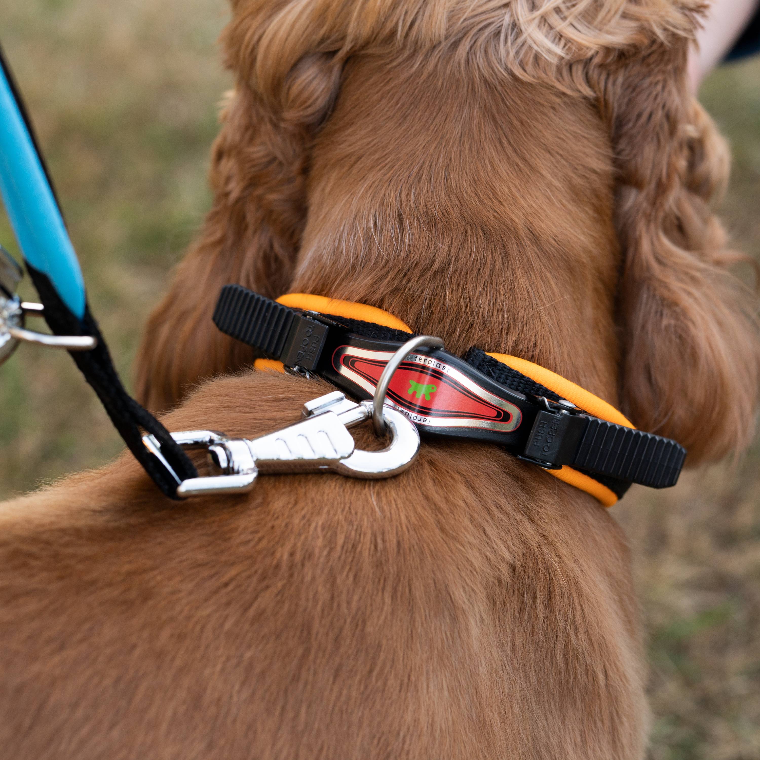 Ferplast - Collier Ergonomique pour Chiens ERGOFLUO C15/42 avec Rembourrage et Fermeture à Micro-régulation - Image 3