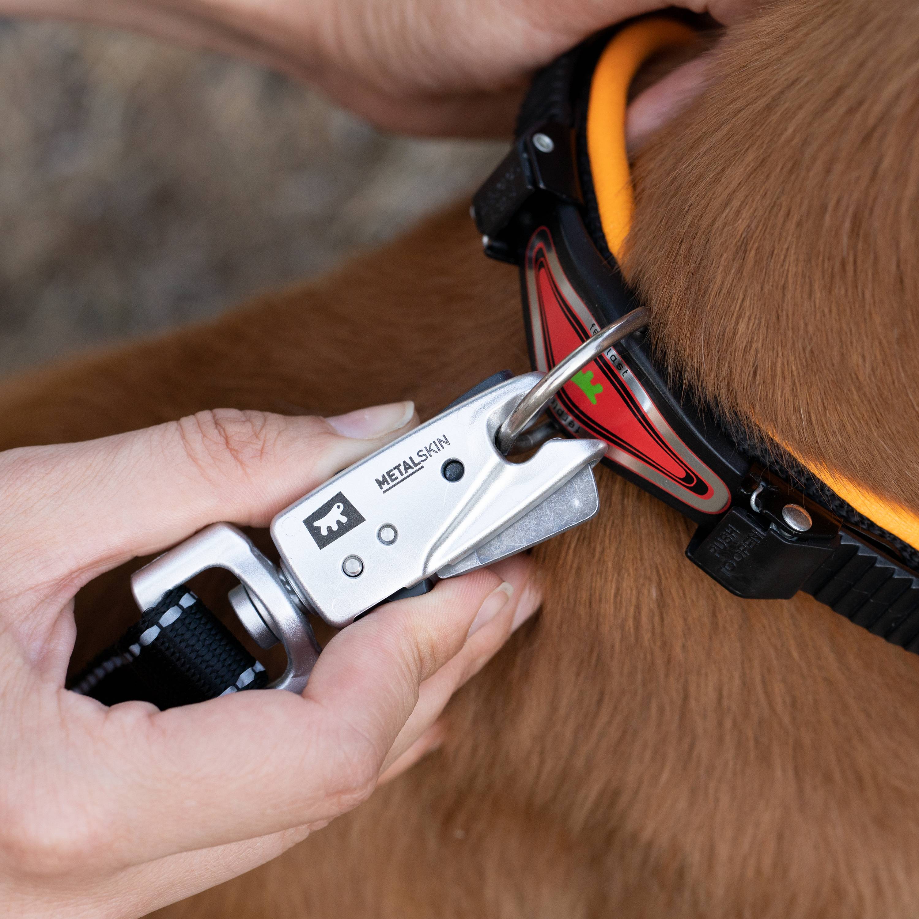 Ferplast - Collier Ergonomique pour Chiens ERGOFLUO C15/42 avec Rembourrage et Fermeture à Micro-régulation - Image 5