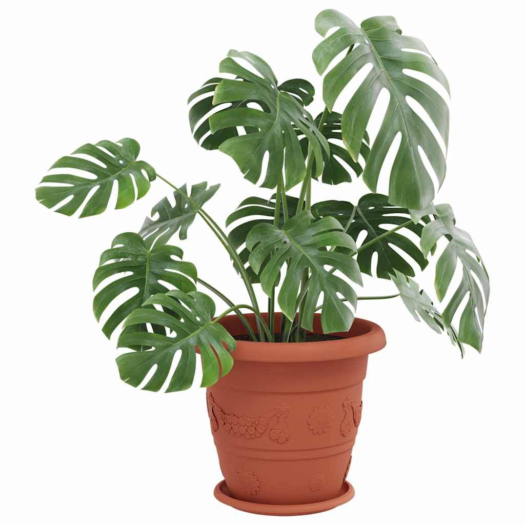 Prolenta Premium - Jardinière plastique rouge 27 x 27 x 2,5 cm - Prolenta premium p39.2 - Image 3