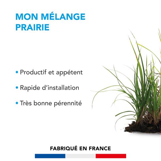 Mélange Prairie - Productif et Appétent - Rapide d'Installation - Très Bonne Pérennité - Production Alimentation pour Animaux - 10KG - BARENBRUG - Image 2