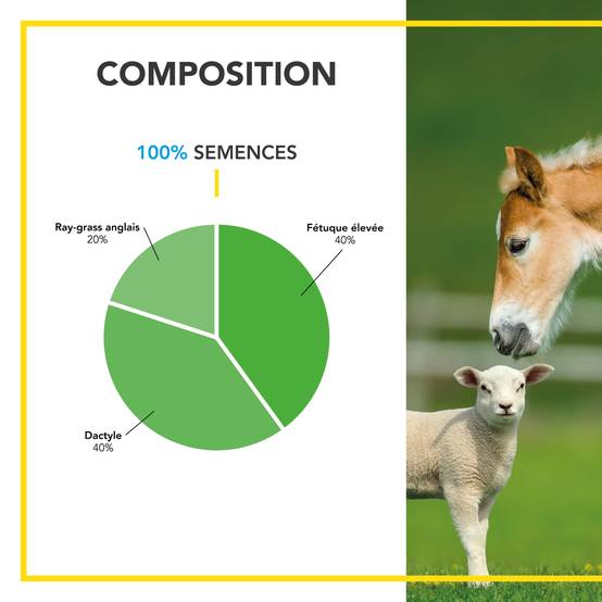 Mélange Prairie - Productif et Appétent - Rapide d'Installation - Très Bonne Pérennité - Production Alimentation pour Animaux - 10KG - BARENBRUG - Image 3