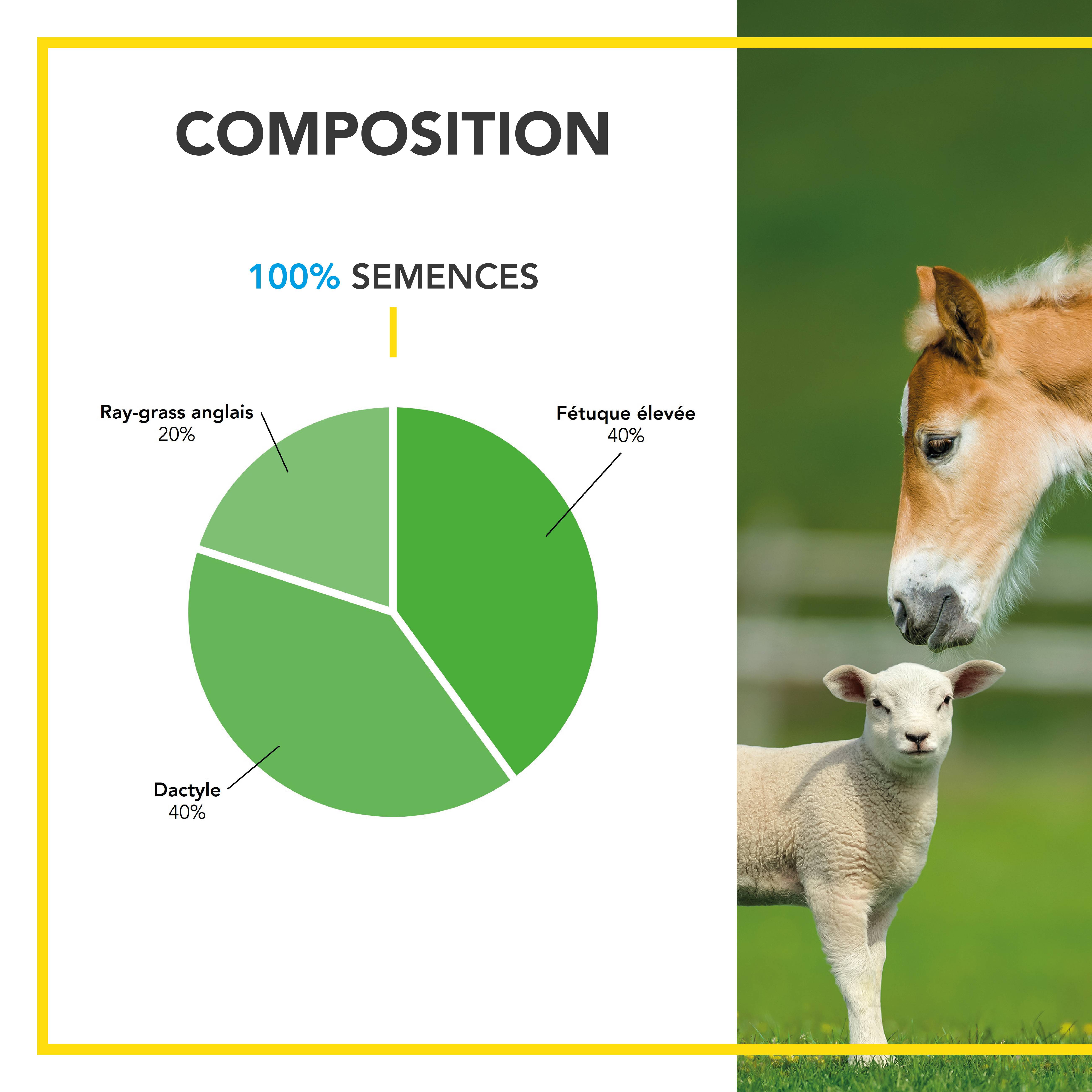 Mélange Prairie - Productif et Appétent - Rapide d'Installation - Très Bonne Pérennité - Production Alimentation pour Animaux - 10KG - BARENBRUG - Image 3