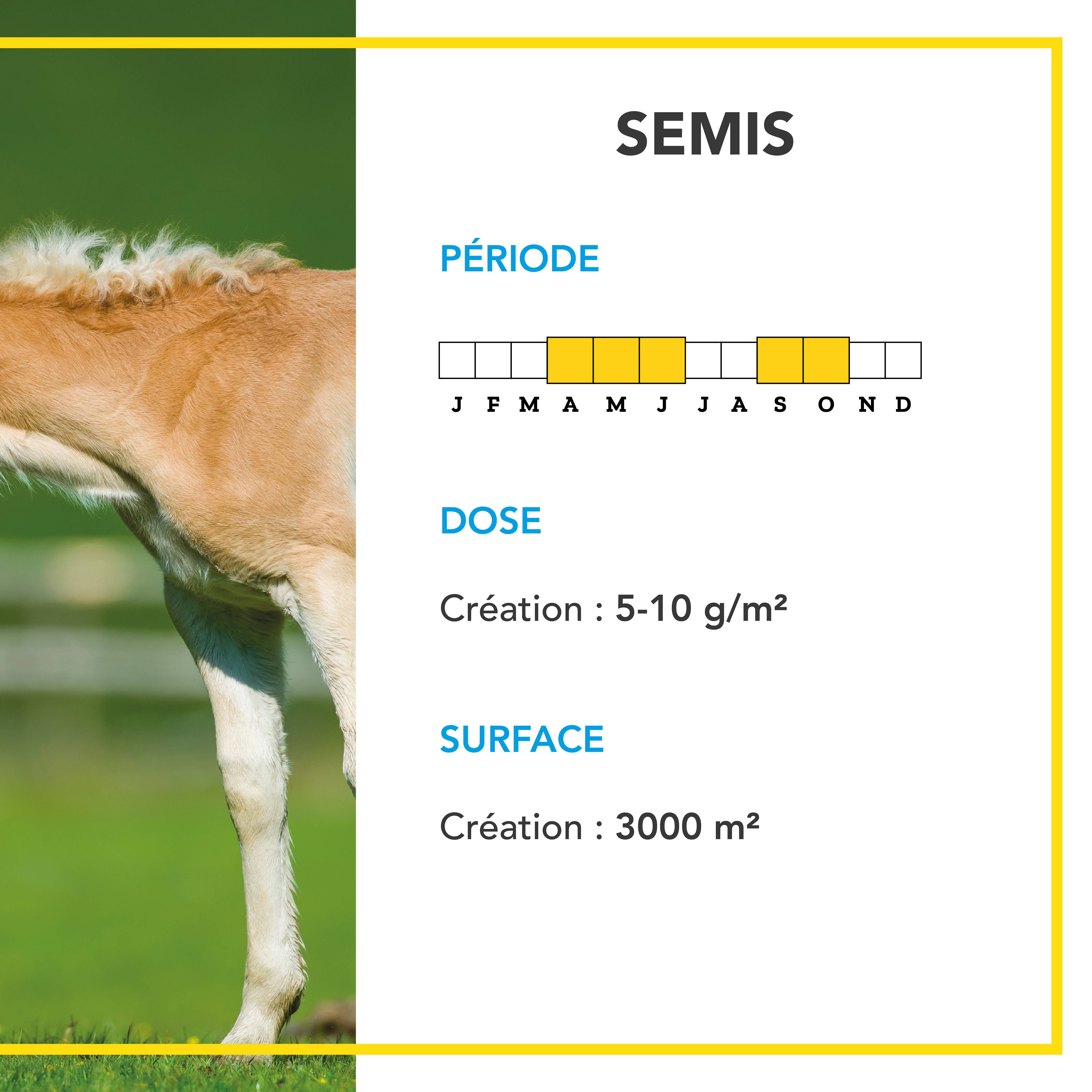 Mélange Prairie - Productif et Appétent - Rapide d'Installation - Très Bonne Pérennité - Production Alimentation pour Animaux - 10KG - BARENBRUG - Image 4