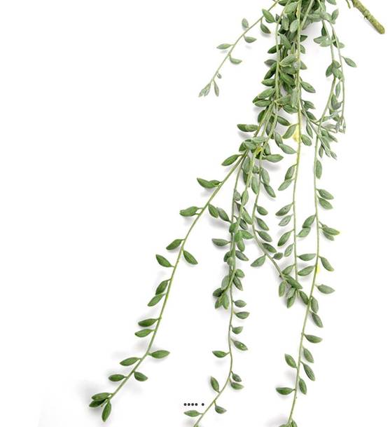 Chute de Senecio artificiel, L 52 cm, D 15 cm - Image 3