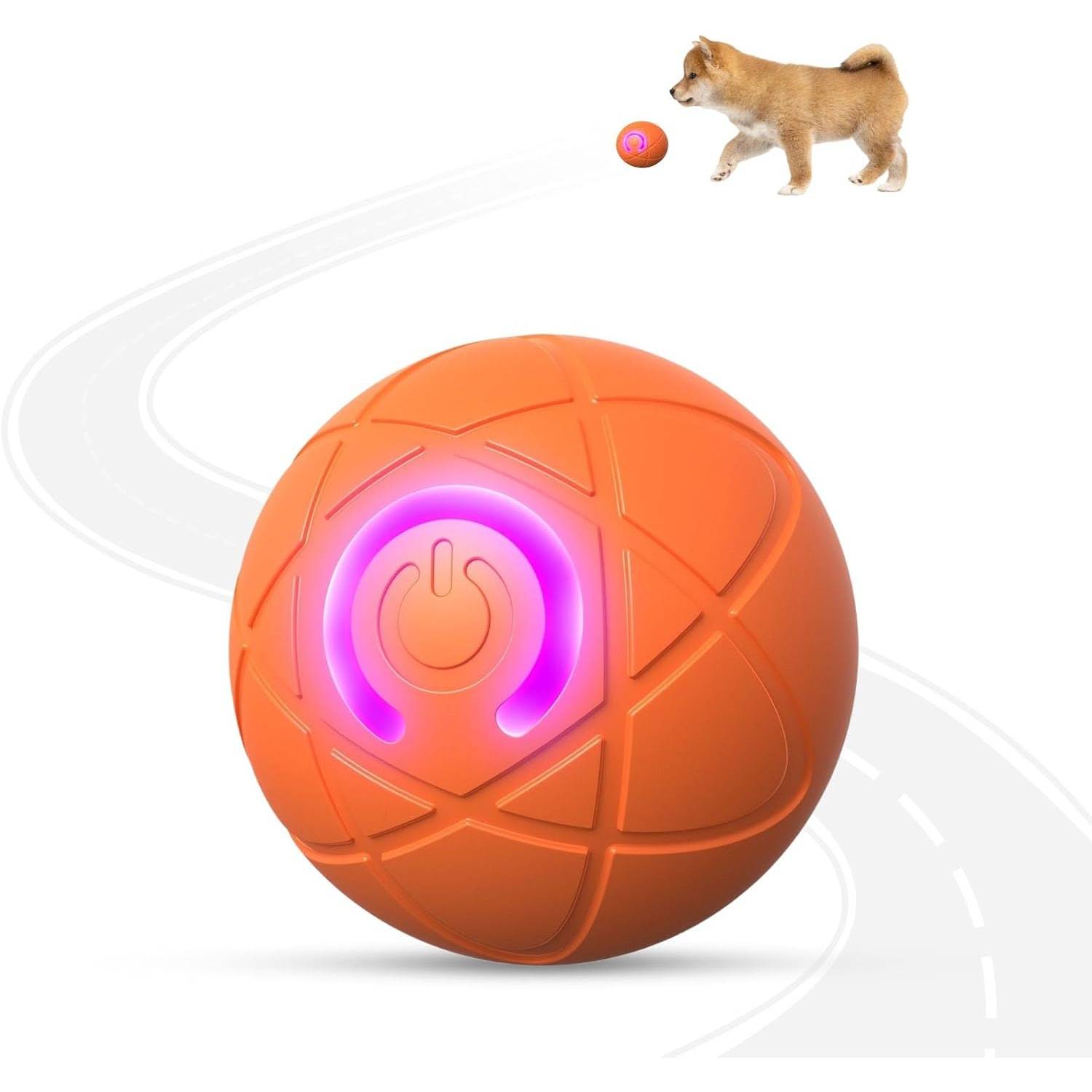 DtopbuyAge - Jouet interactif USB - Chien et chat d'intérieur DtopbuyAge