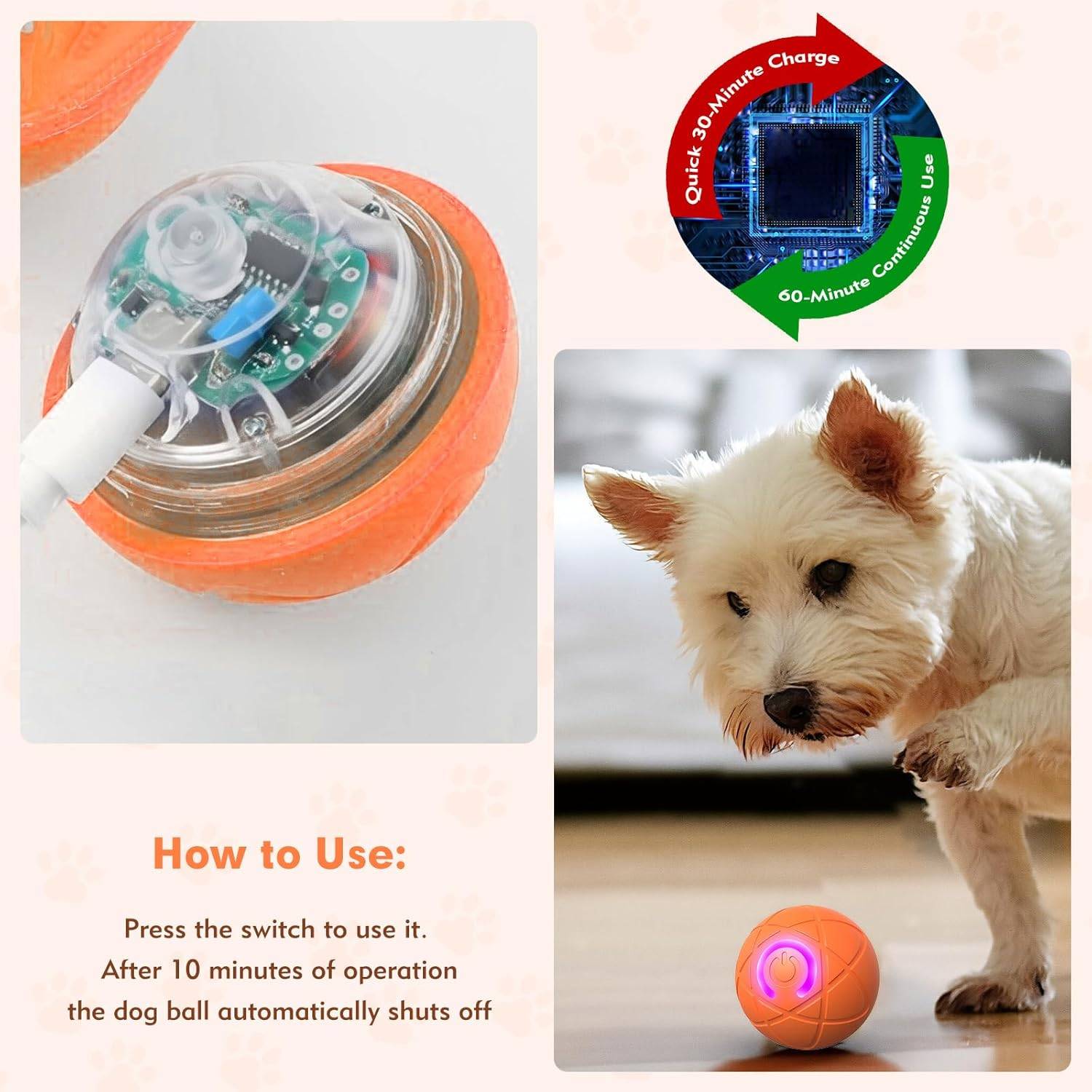 DtopbuyAge - Jouet interactif USB - Chien et chat d'intérieur DtopbuyAge - Image 5