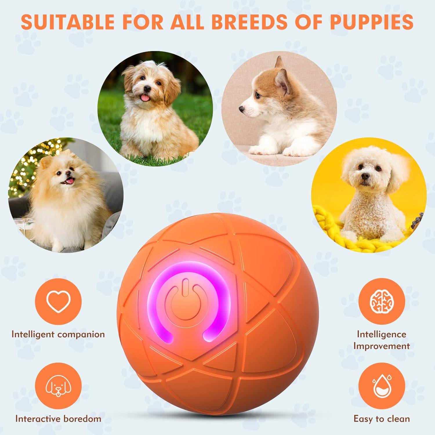 DtopbuyAge - Jouet interactif USB - Chien et chat d'intérieur DtopbuyAge - Image 3