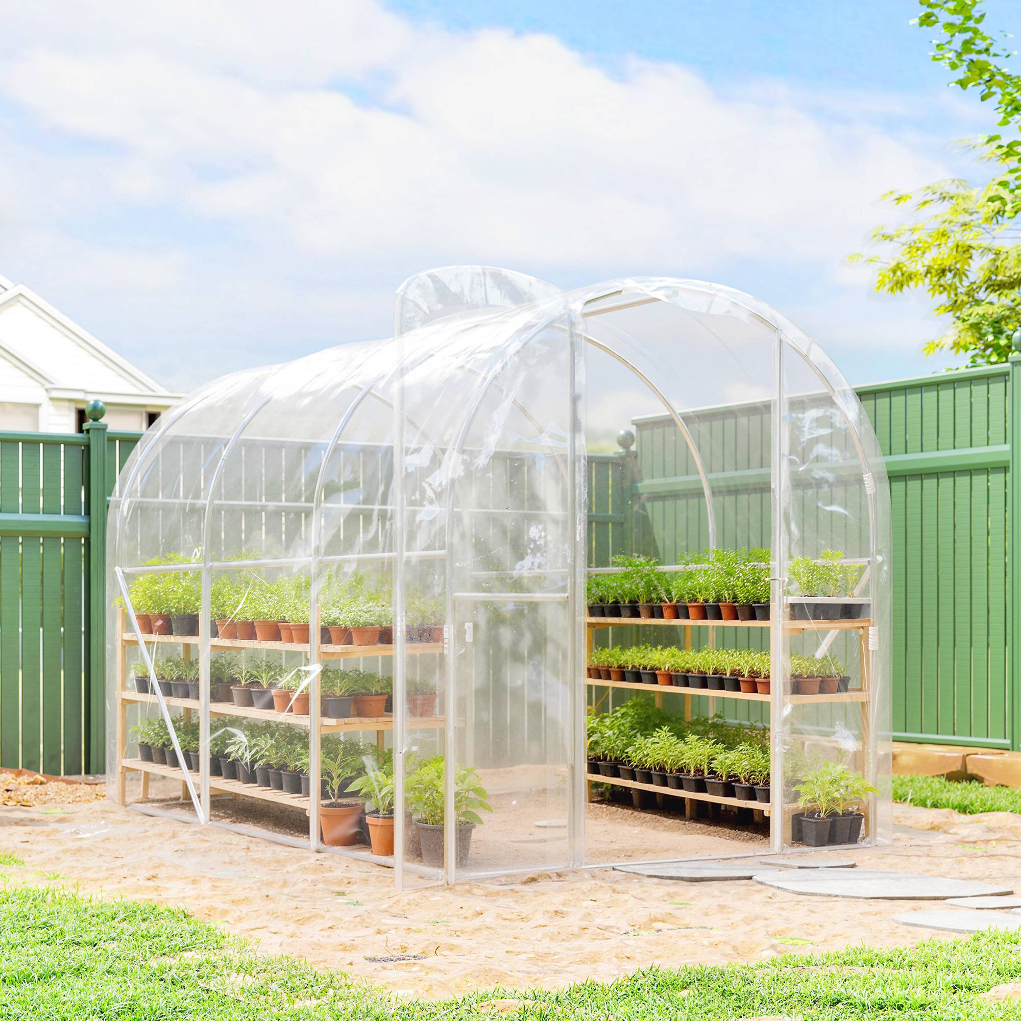 ComfortXL - Serre tunnel acier bâche PE jardin potager protection intempérie 300x200x195cm transparent - ComfortXL Outdoor Living - Image 4