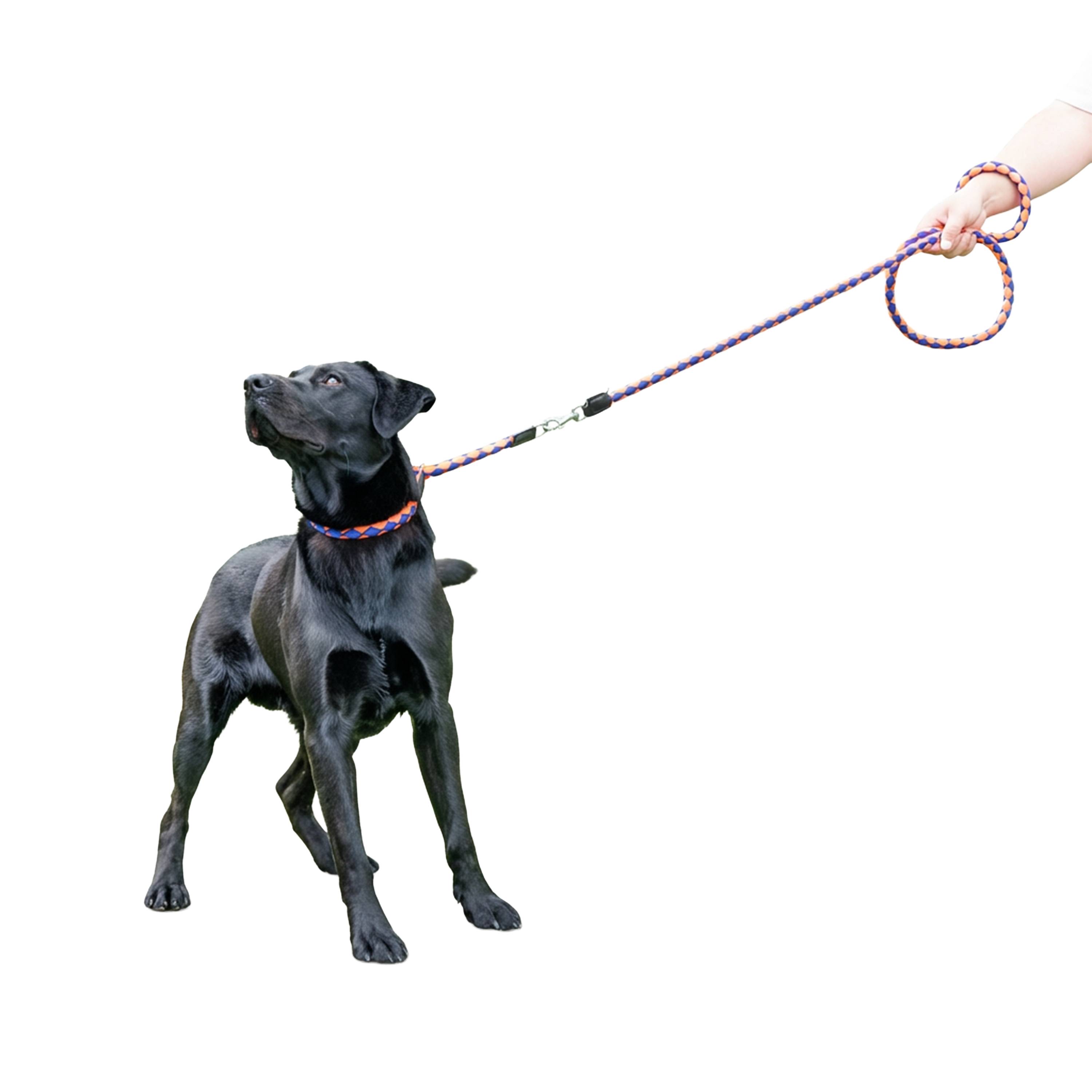 Ferplast - Laisse de Dressage pour Chiens en Nylon TWIST MATIC GA18/200, Mousqueton Magnétique Automatique - Image 4