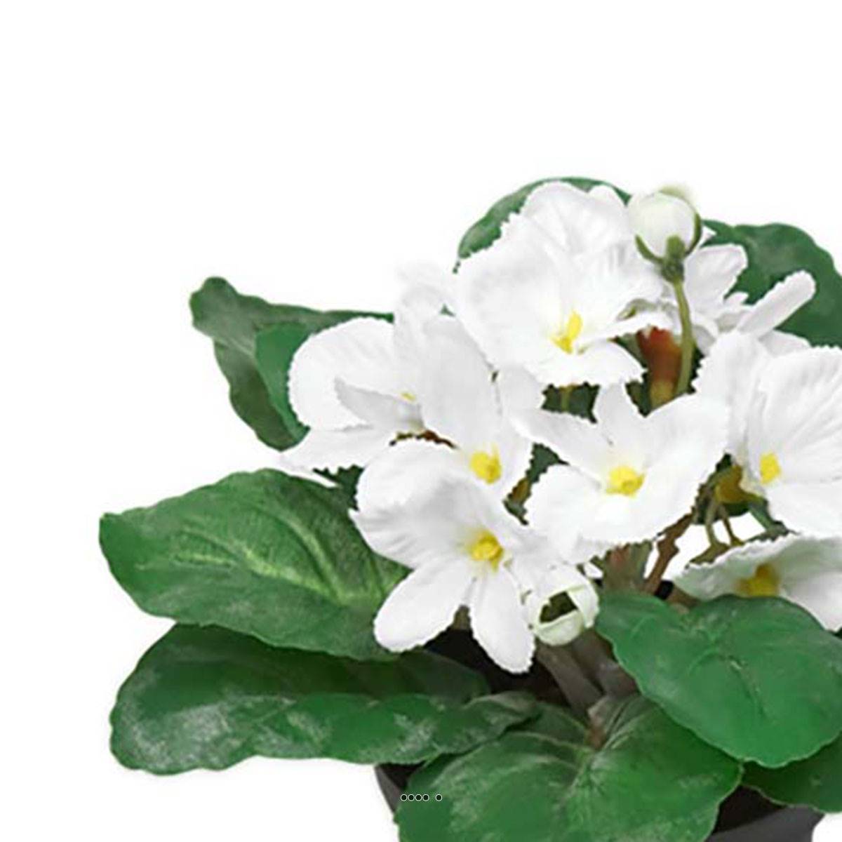 Artificielles - Saint Paulia artificiel en pot H 16 cm très fleuri Crème - couleur: Crème - Image 3