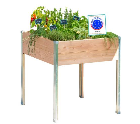 Mon Petit Potager - Bac potager sur pieds Design - Bois Douglas non traité - 65 x 60 x H80cm - mon PETIT POTAGER - Image 1