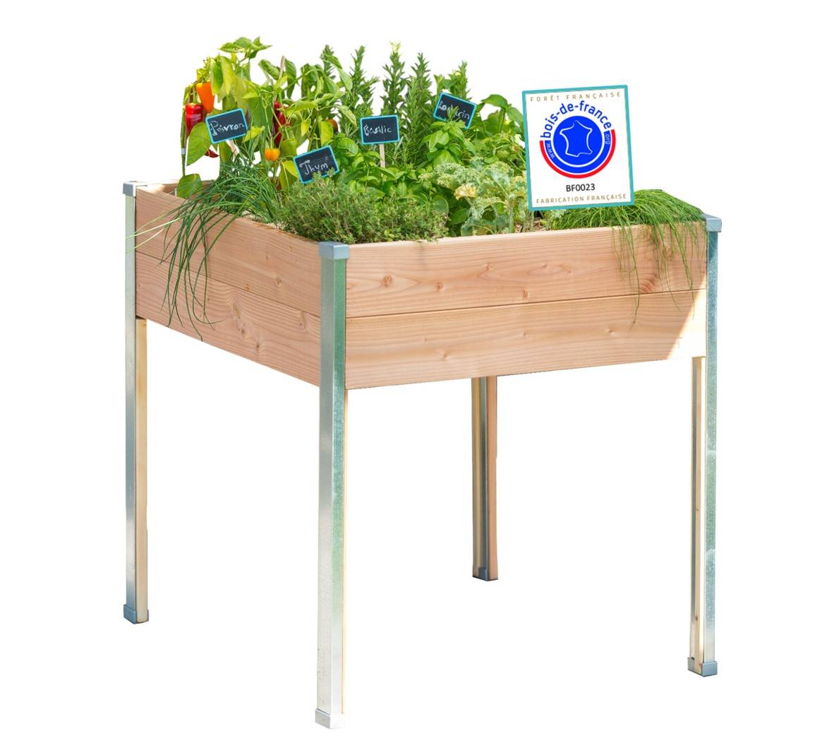 Mon Petit Potager - Bac potager sur pieds Design - Bois Douglas non traité - 65 x 60 x H80cm - mon PETIT POTAGER - Image 1