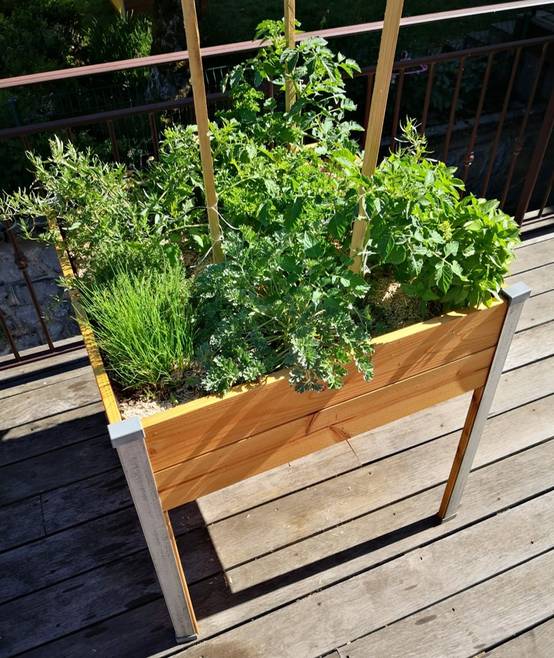 Mon Petit Potager - Bac potager sur pieds Design - Bois Douglas non traité - 65 x 60 x H80cm - mon PETIT POTAGER - Image 4