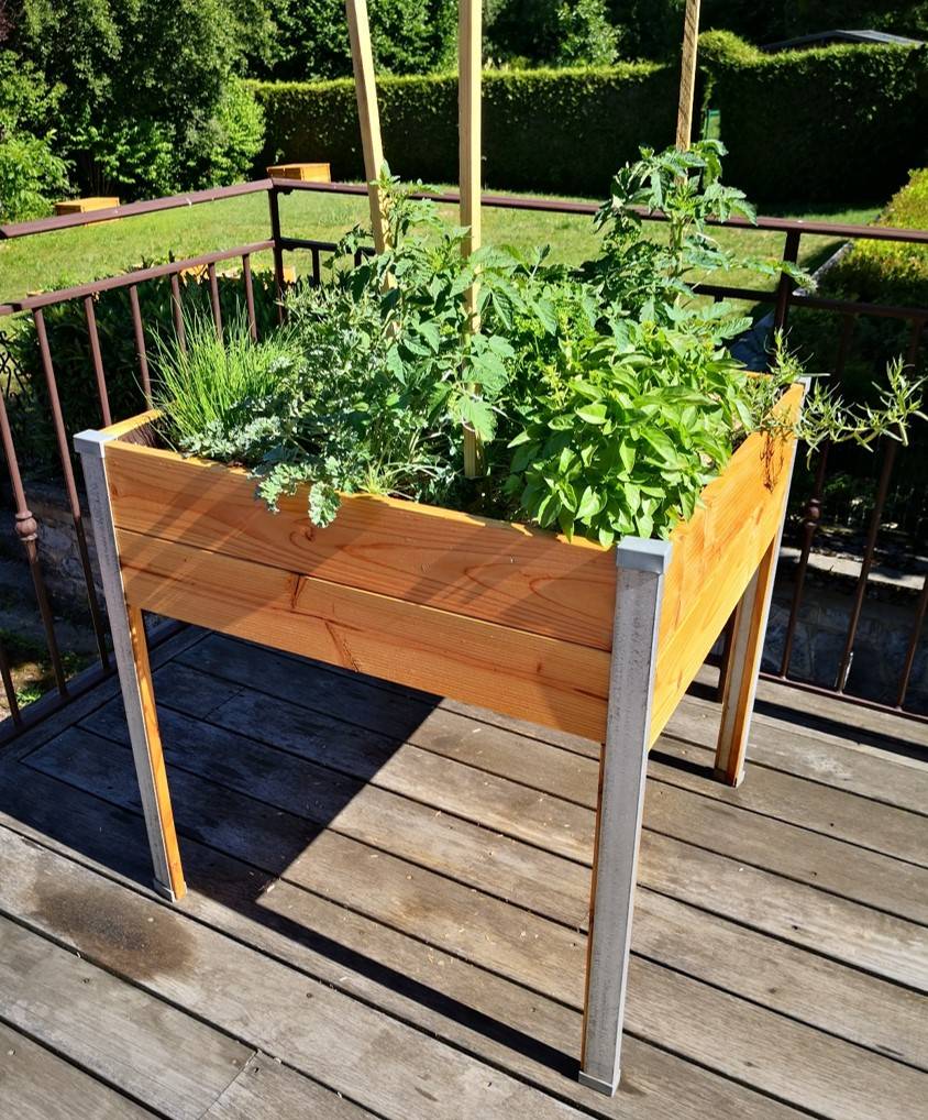 Mon Petit Potager - Bac potager sur pieds Design - Bois Douglas non traité - 65 x 60 x H80cm - mon PETIT POTAGER - Image 3