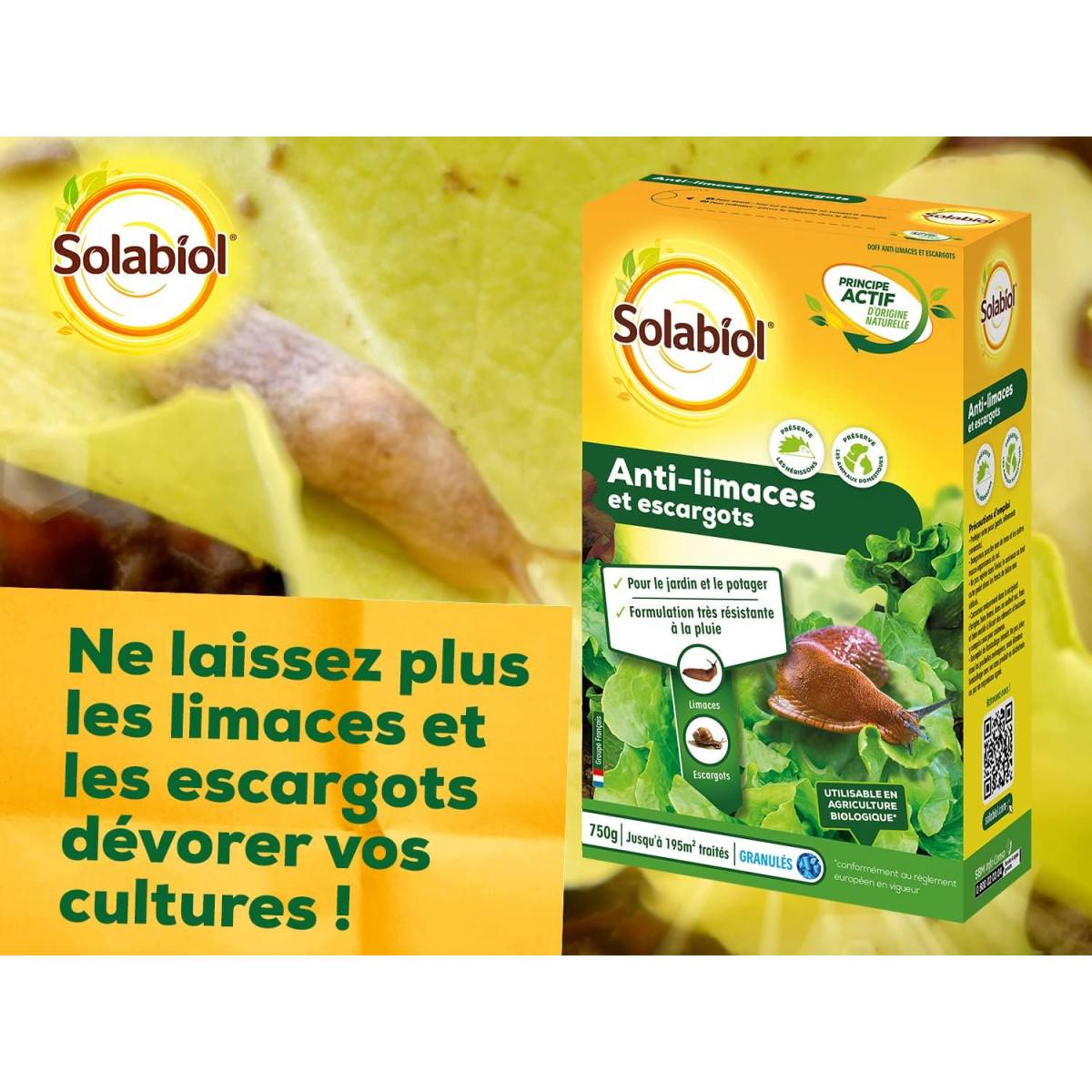 Solabiol - Anti-Limaces et escargots - Boite de 750 grs - Utilisable en Agriculture Biologique - Image 3