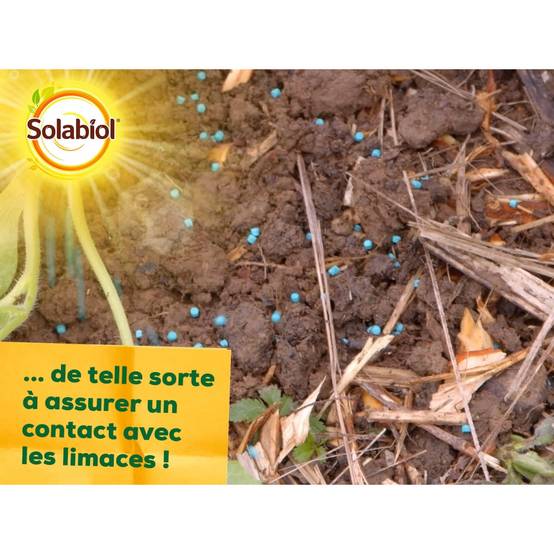 Solabiol - Anti-Limaces et escargots - Boite de 750 grs - Utilisable en Agriculture Biologique - Image 6