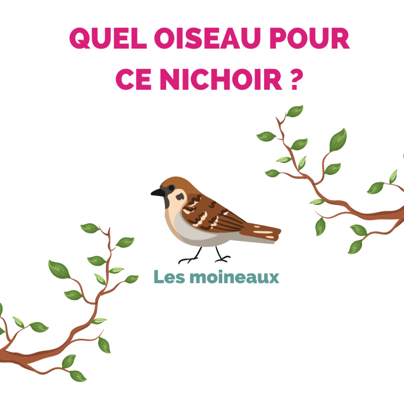 Aubry Gaspard - Nichoir maison en bois Hauteur 25 cm - Aubry Gaspard - Image 2