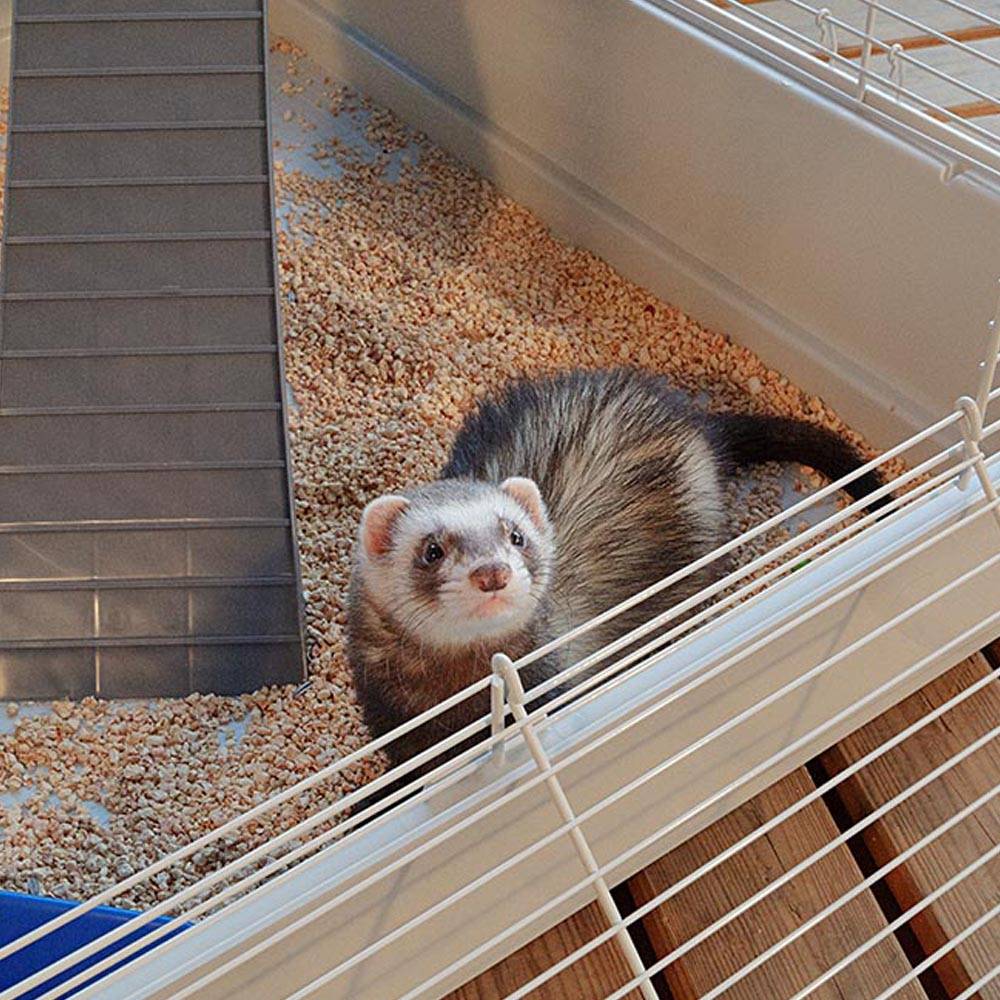 Ferplast - Ferplast Cage pour fûrets FURET TOWER, structure verticale sur plusieurs étages, roues et accessoires inclus, métal vernis gris et plastique, 75 x 80 - Image 9