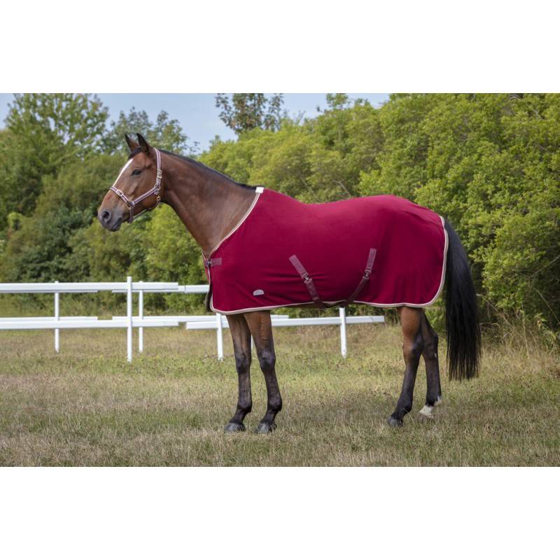 Licol polyfun bordeaux EQUITHEME pour pur-sang - Image 1