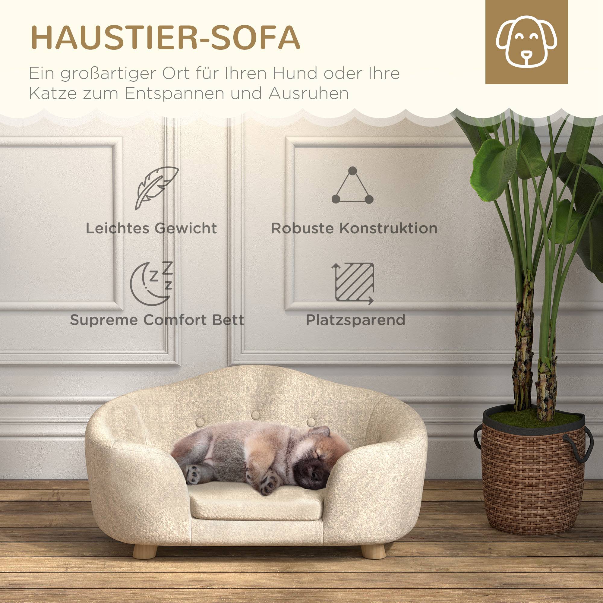 ComfortXL - Canapé pour chien en peluche et pin 70 x 47 x 30 cm crème pour petit chien couchage surélevé avec coussin - Image 4