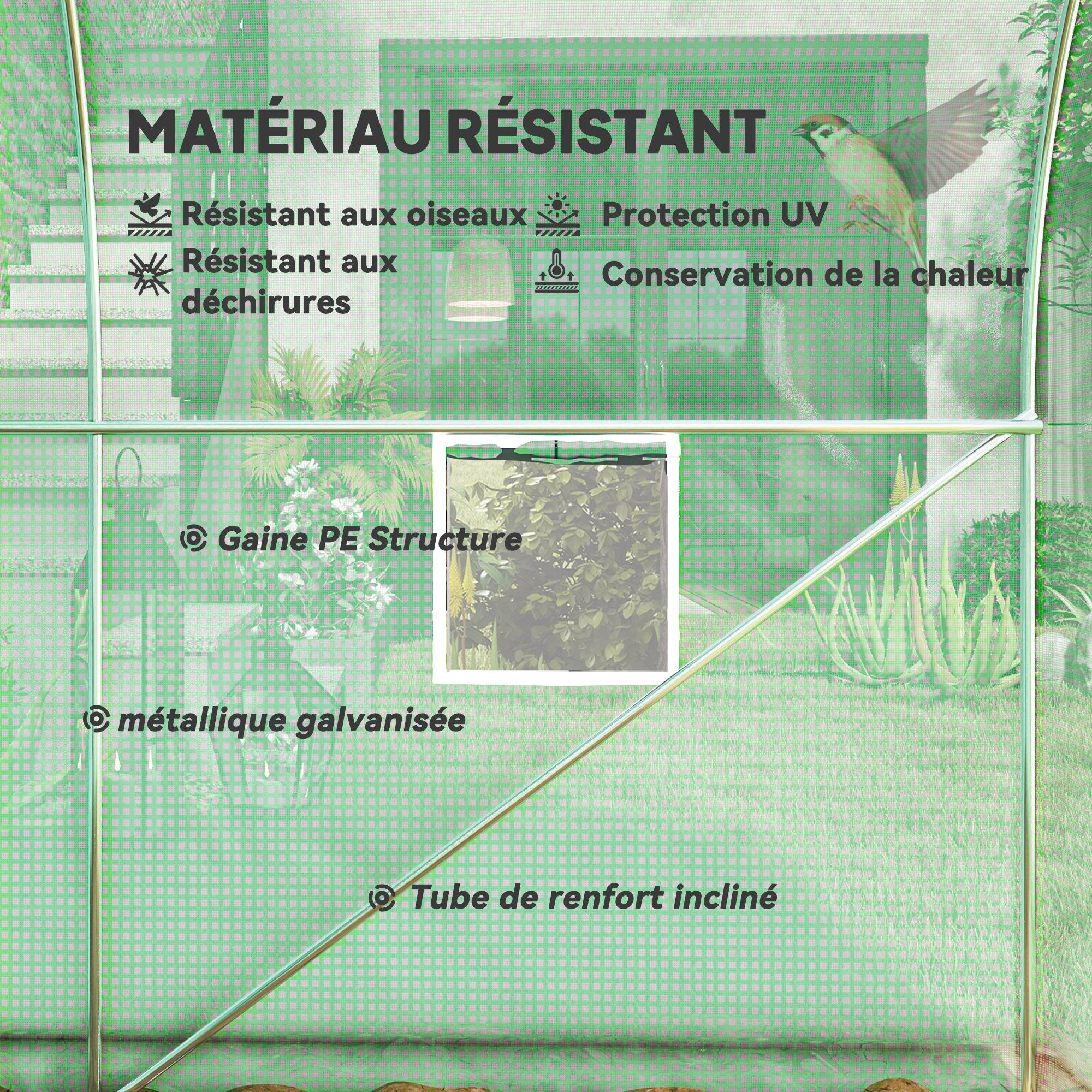 ComfortXL - Serre tunnel de jardin PE 140 g/m² 400 x 200 x 200 cm verte pour potager 8 m² - ComfortXL Outdoor Living - Image 6