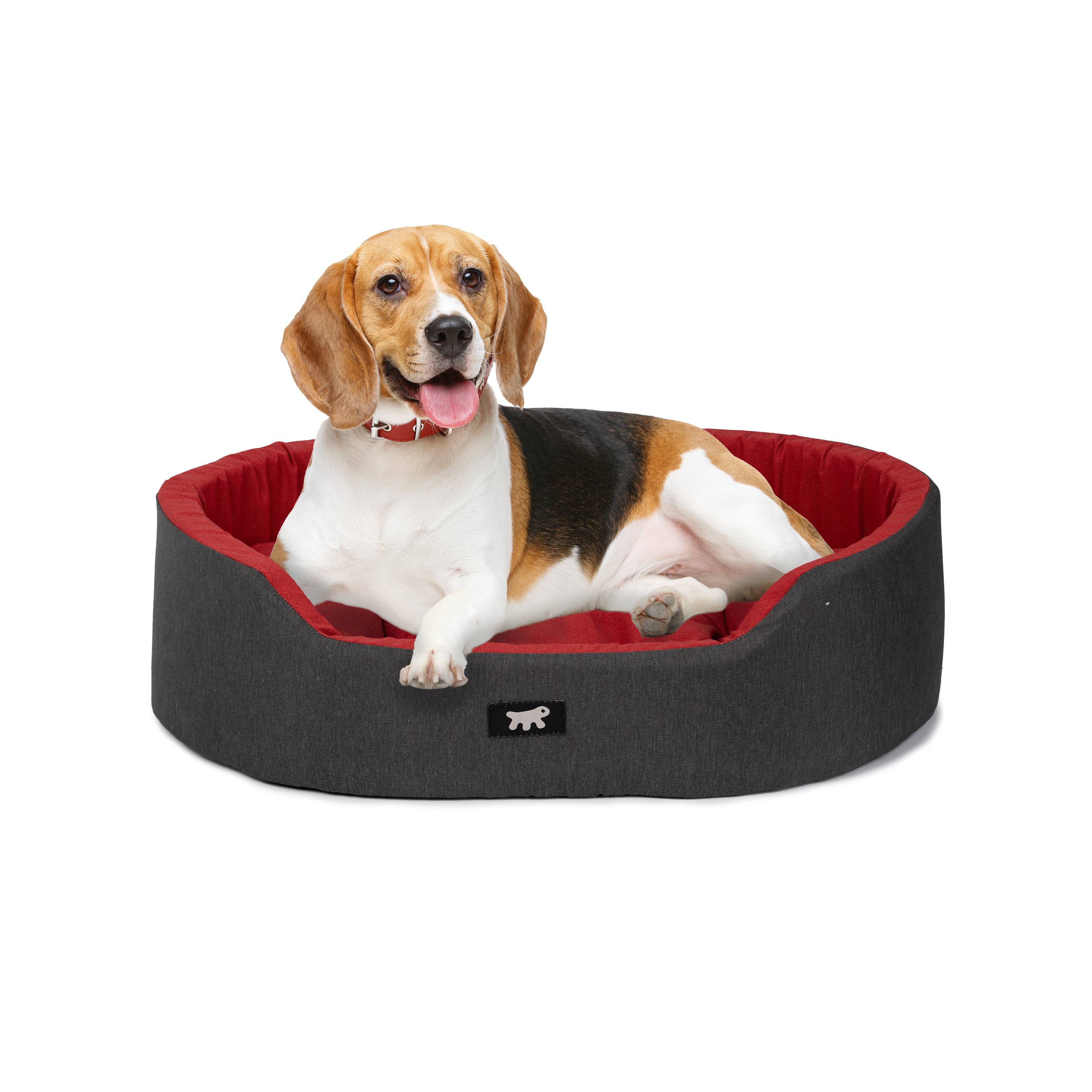 Ferplast - Ferplast Panier Chien Dandy, Coussin Amovible et Lavable, Housse en Coton avec Rembourrage Doux, Idéale également comme Niche pour Chat, 65 x 46 x H - Image 4