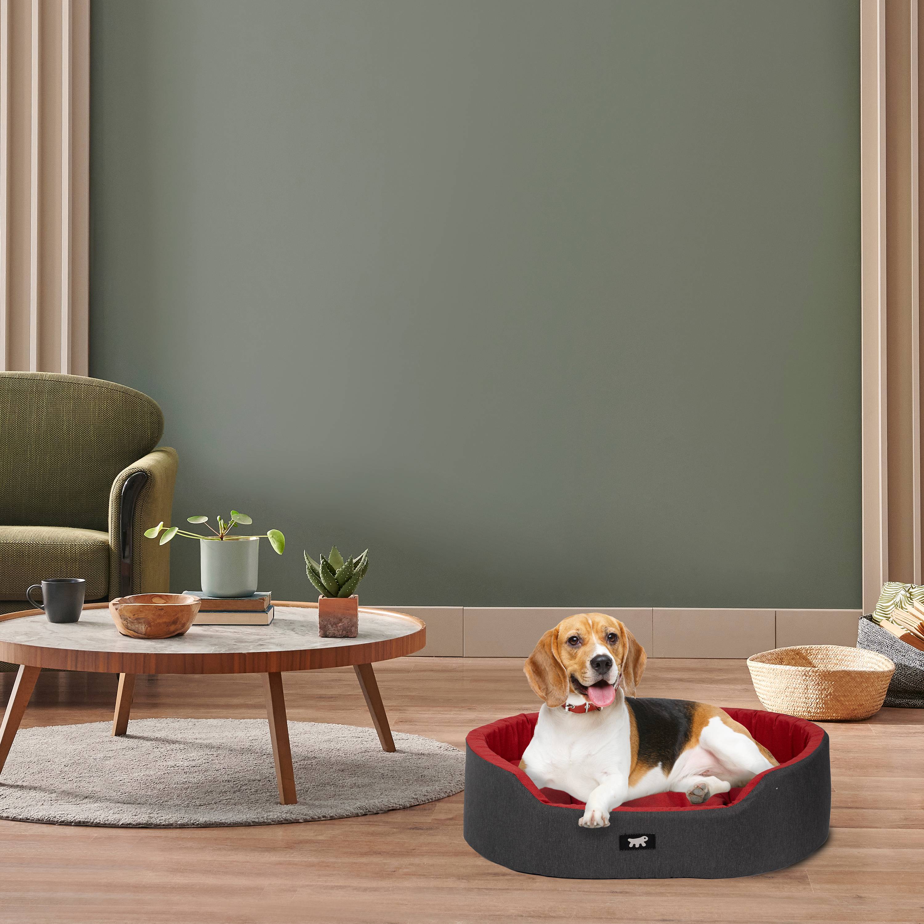 Ferplast - Ferplast Panier Chien Dandy, Coussin Amovible et Lavable, Housse en Coton avec Rembourrage Doux, Idéale également comme Niche pour Chat, 65 x 46 x H - Image 3