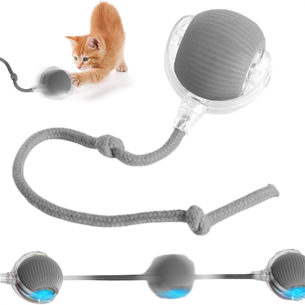 Balle roulante interactive pour chiens(Gris) DtopbuyAge - Image 1
