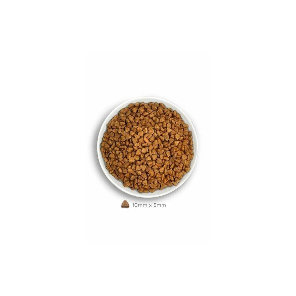 Amanova Chat Stérilisé Saumon 1.5 kg - Image 3