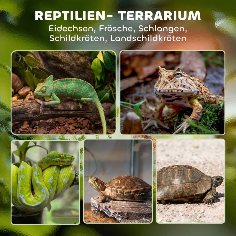 Terrarium en verre pour reptiles base étanche et portes sécurisées 50x30x25cm noir - ComfortXL Outdoor Living - Image 4