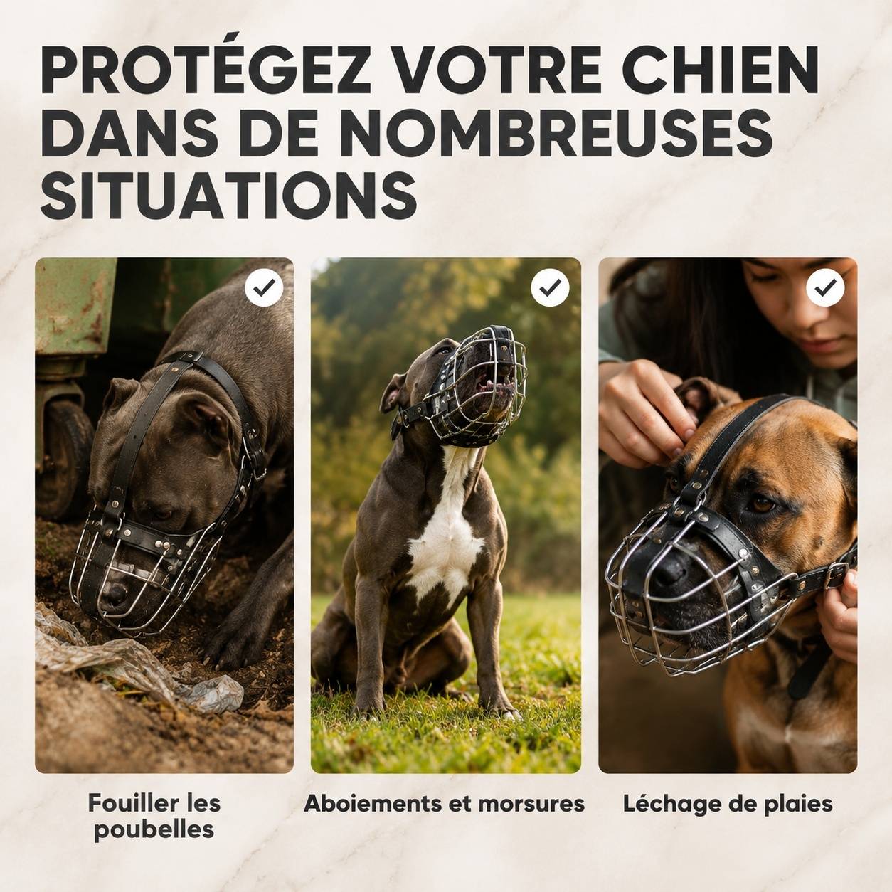 Panier Filaires Acier Inoxydable Muselière Chien Réglable Sangles Cuir Confortable - Image 6